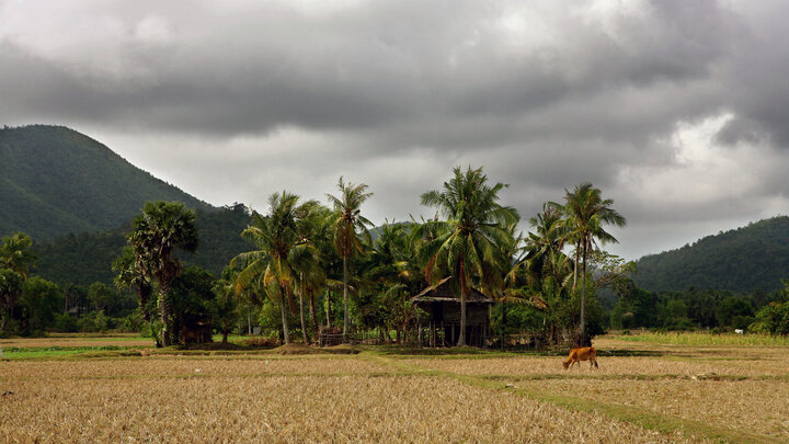 ©FIELDS/GLOBALLOOKPRESS