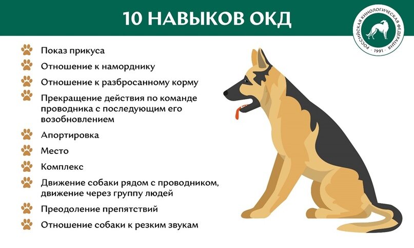 10 навыков ОКД (общего курса дрессировки)