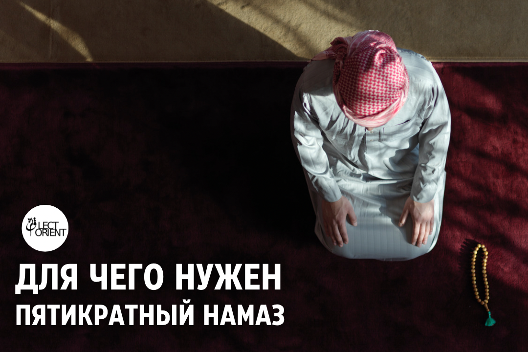 Фото из открытого фотостока Canva