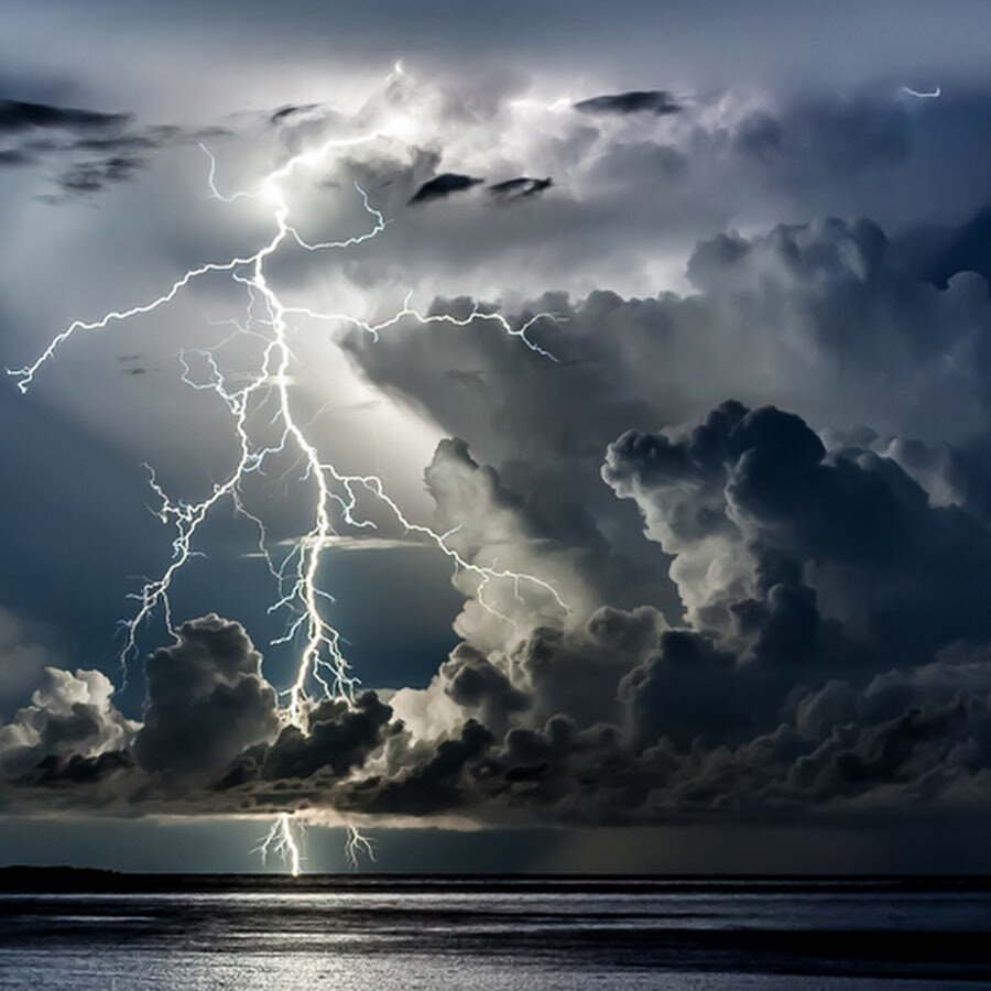 Почему важно сохранять нашу природу | Тайгай | Дзен