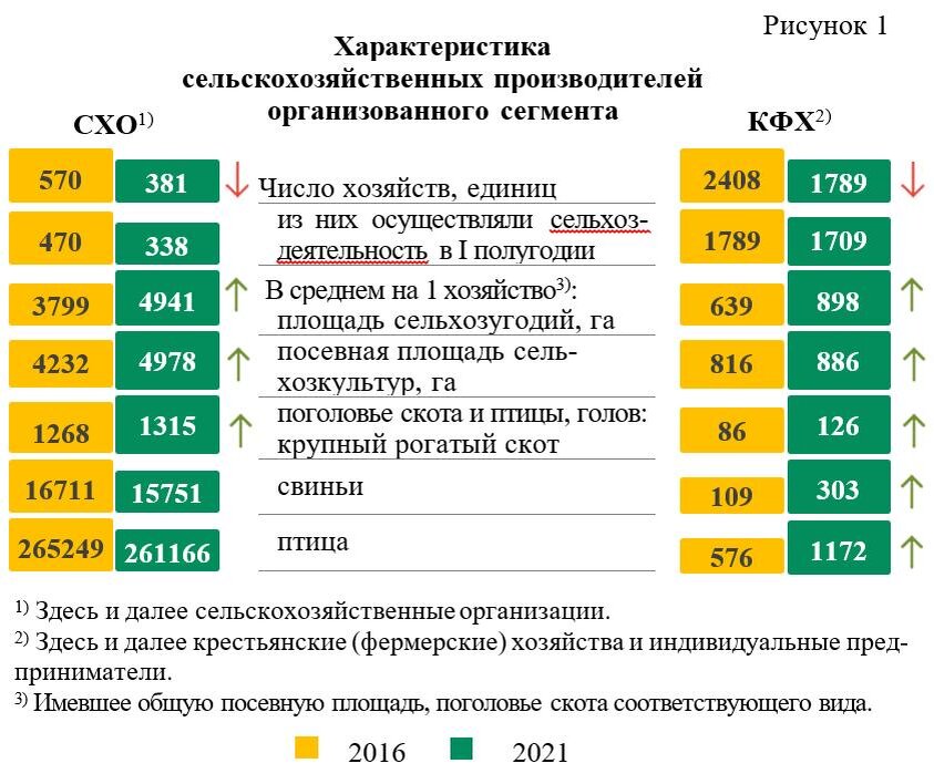 Результаты сельского хозяйства