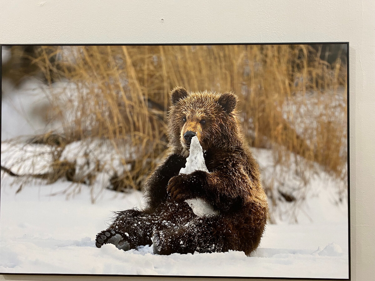 Геннадий Юсин фотограф