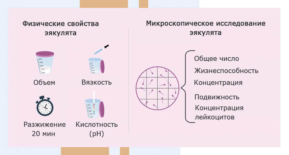 Исследование спермы