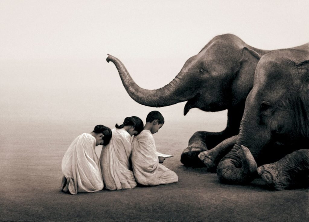     Фото: Gregory Colbert