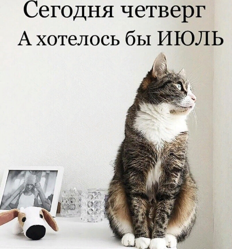 Четверг картинки прикольные смешные