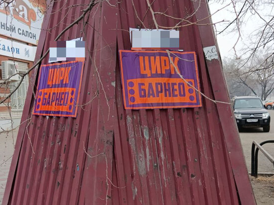     Цирк из Красноярска заплатит штраф за незаконную рекламу в Благовещенске ФОТО: мэрия Благовещенска