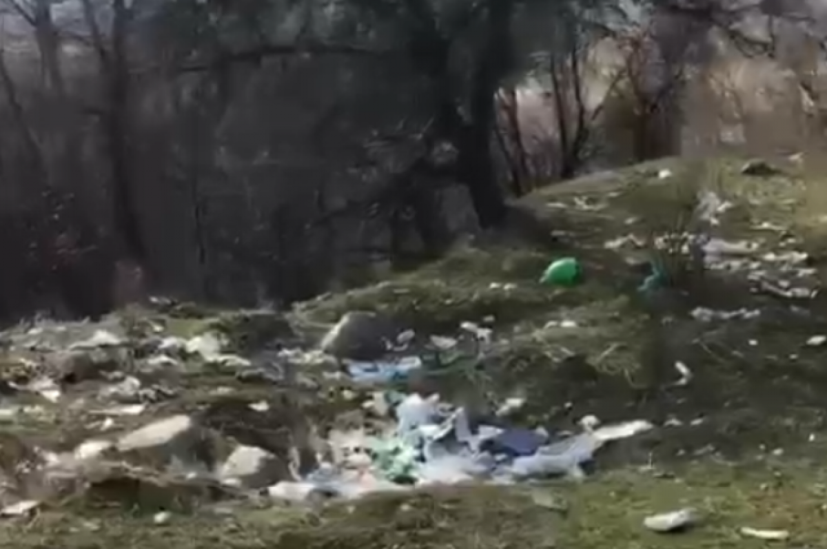    Стихийная свалка мусора образовалась возле Теберды в Карачаево-Черкесии