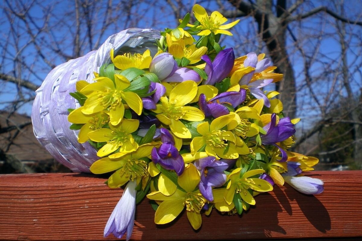 Фото из сети