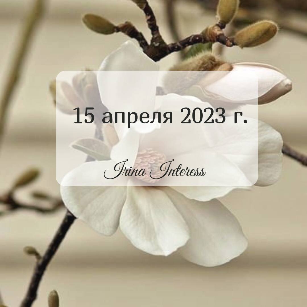 15 апреля 2021 года