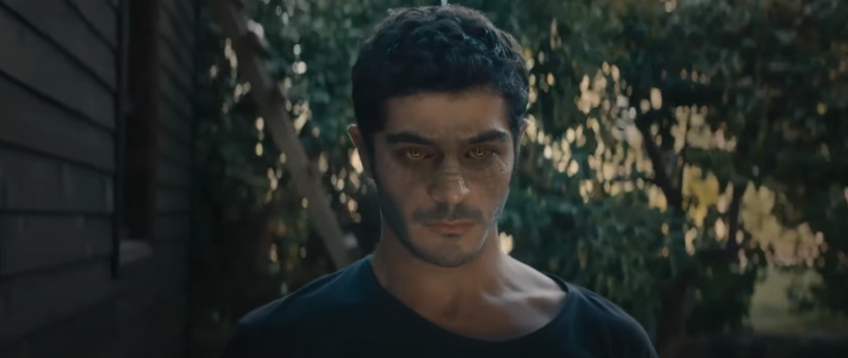 кадр из сериала "Шахмаран" (Sahmaran) / источник imdb.com  