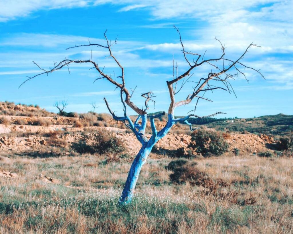     Фото: Sanja Marusic