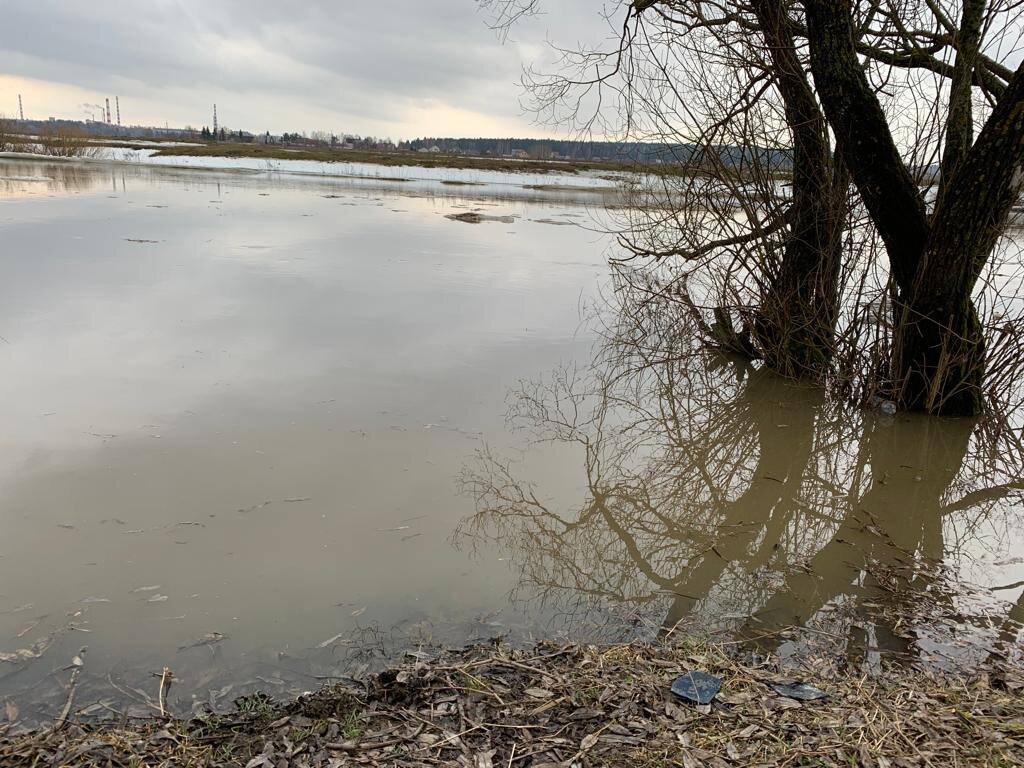 Река протва в калужской области рыба. Вода в реке протва. Вода в реке протва. Обнинск половодье протва. Обнинск половодье протва.