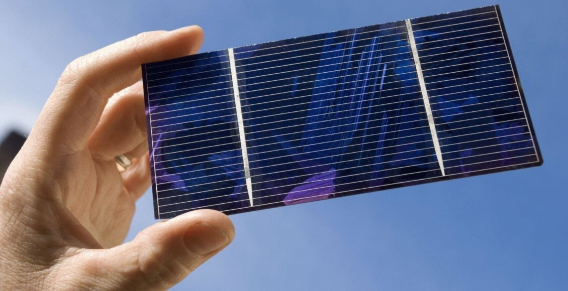    Фото: из открытого источника