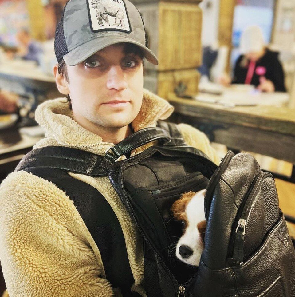     Собаку, судя по подписи к снимку, зовут Ива Колдун. Фото: соцсети.