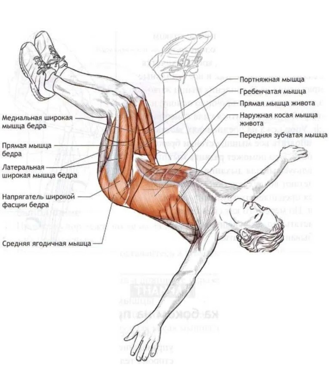 Места подъема ног. Мышцы задействованные при упражнениях. Поднятие ног лежа на пресс какие мышцы. Упражнения для ног лежа на спине. Мышцы задействованные при подъеме ноги лежа.