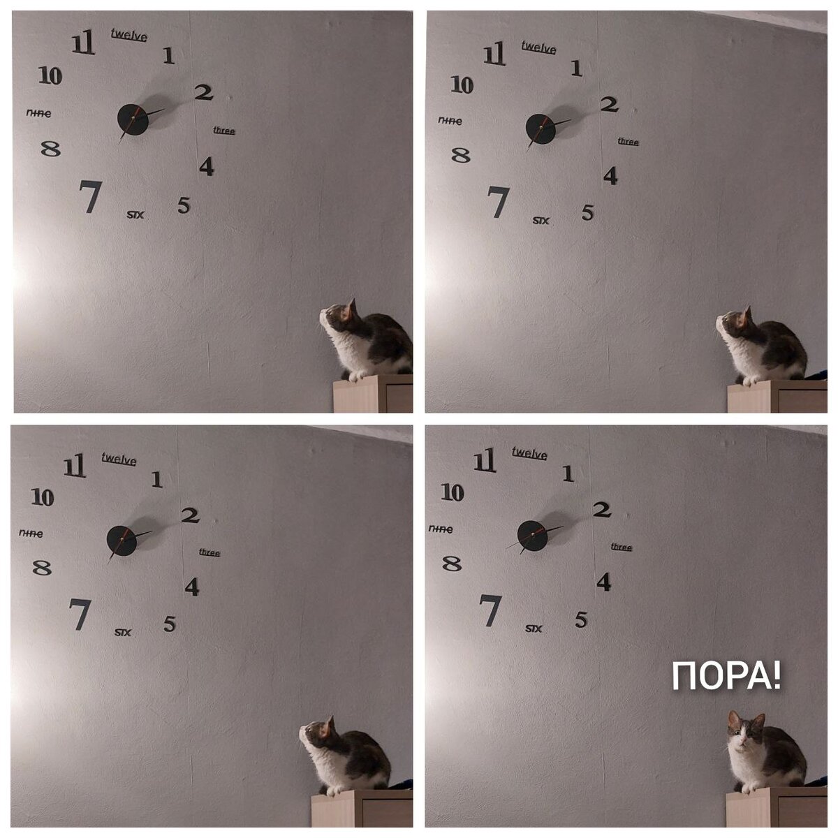 Не знаю зачем тут мой кот, но картинка получилась классная, согласитесь) 
