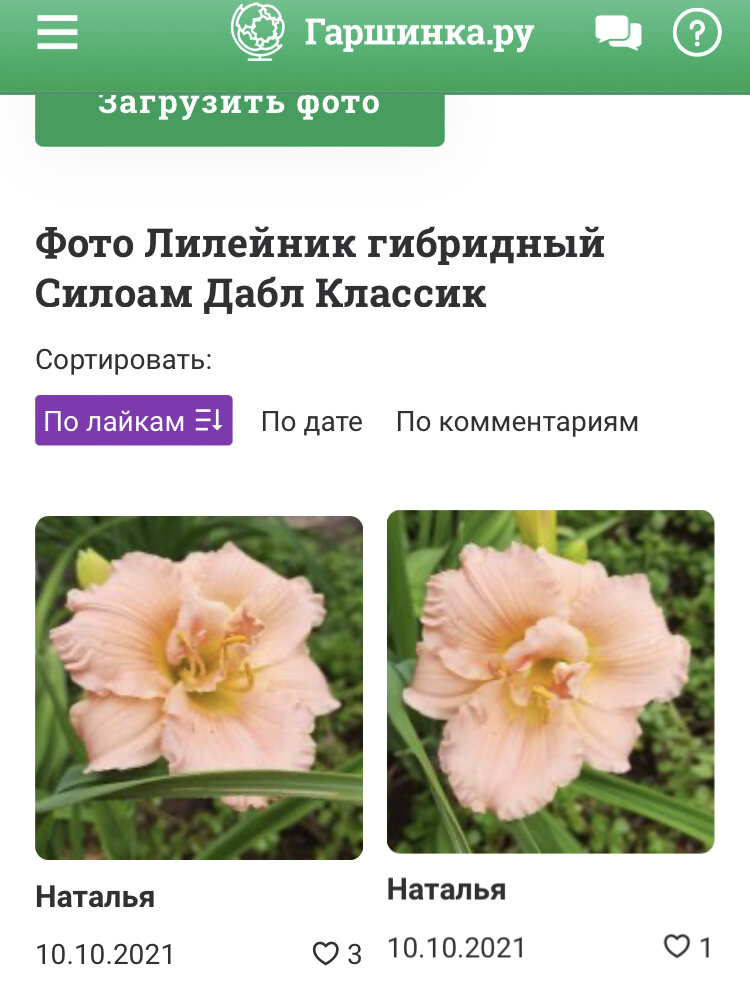 Интернет магазин гаршинка каталог Интернет магазин гаршинка каталог