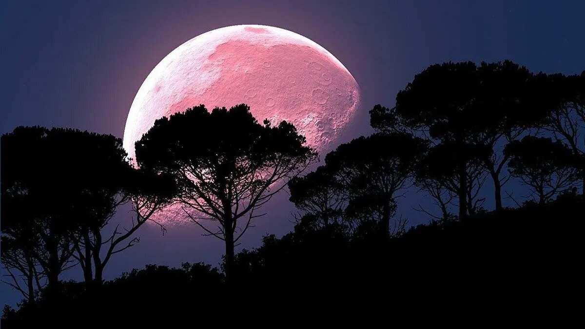 Энергия луны, приближающейся к затмению, способна на многое. Фото: pxhere.com