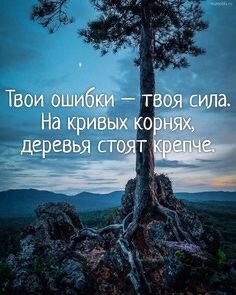 Изображение взято со свободного источника в Интернете.