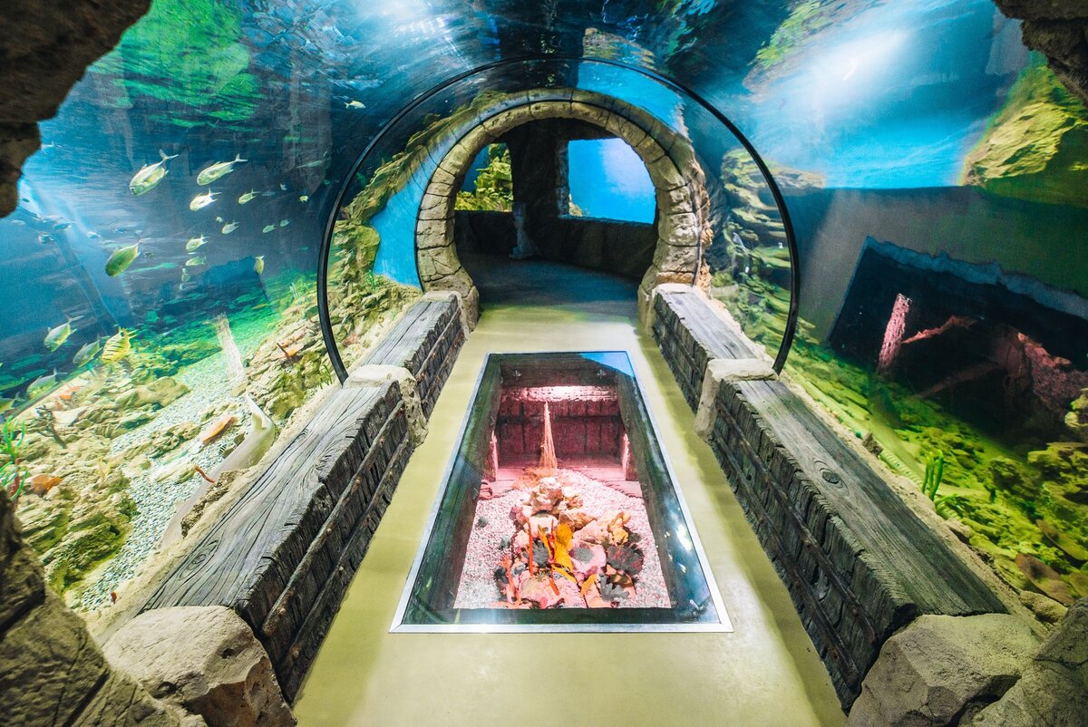 зоопарк аквариум