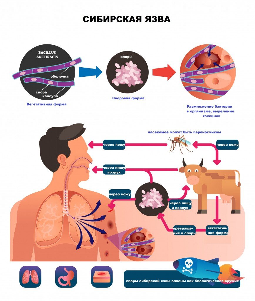 Фото: www.invitro.ru