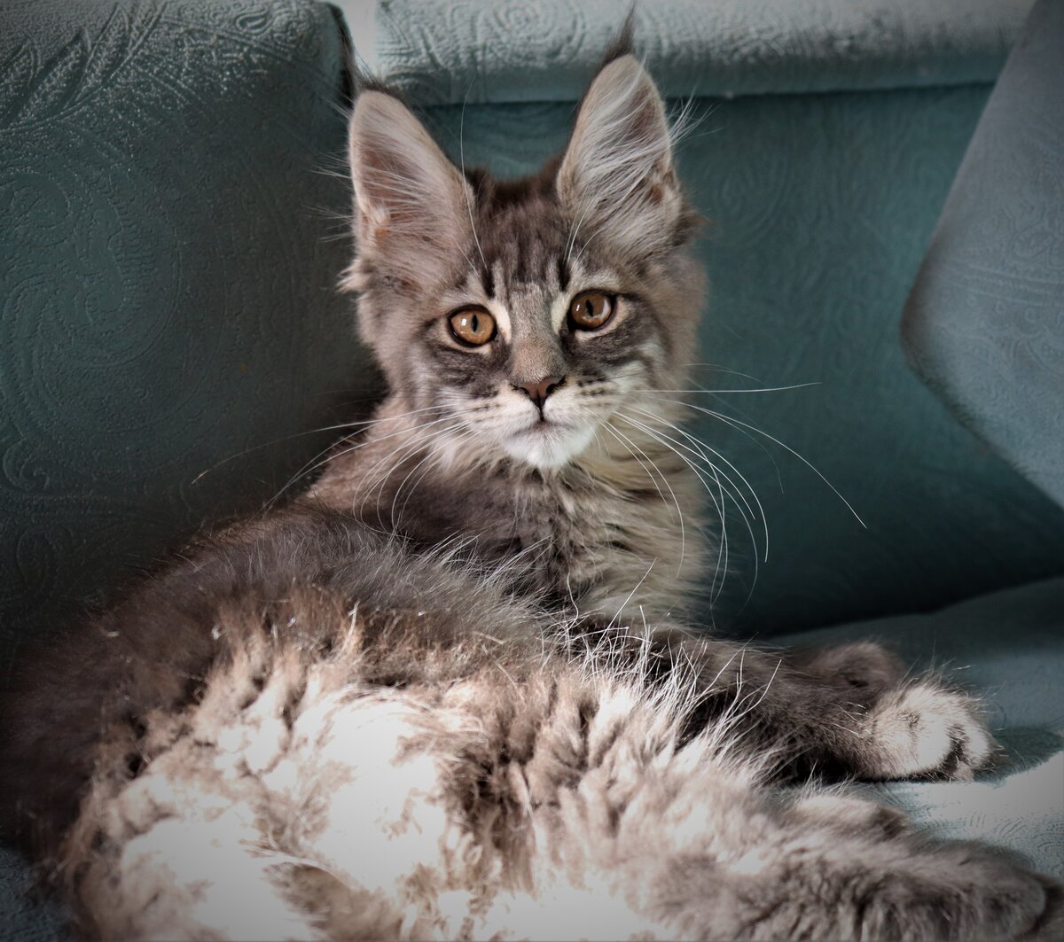 Фото из личного архива.