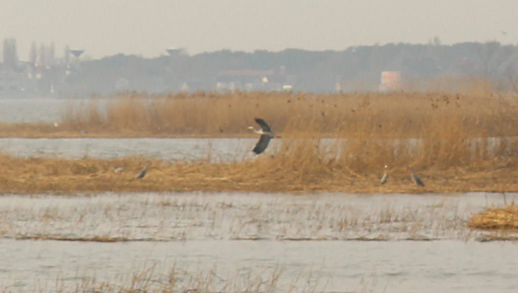    Фото: Пресс-служба Минприроды России