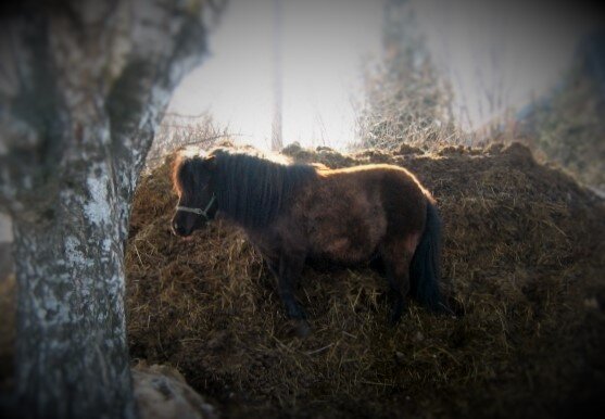 Горизонт завален.