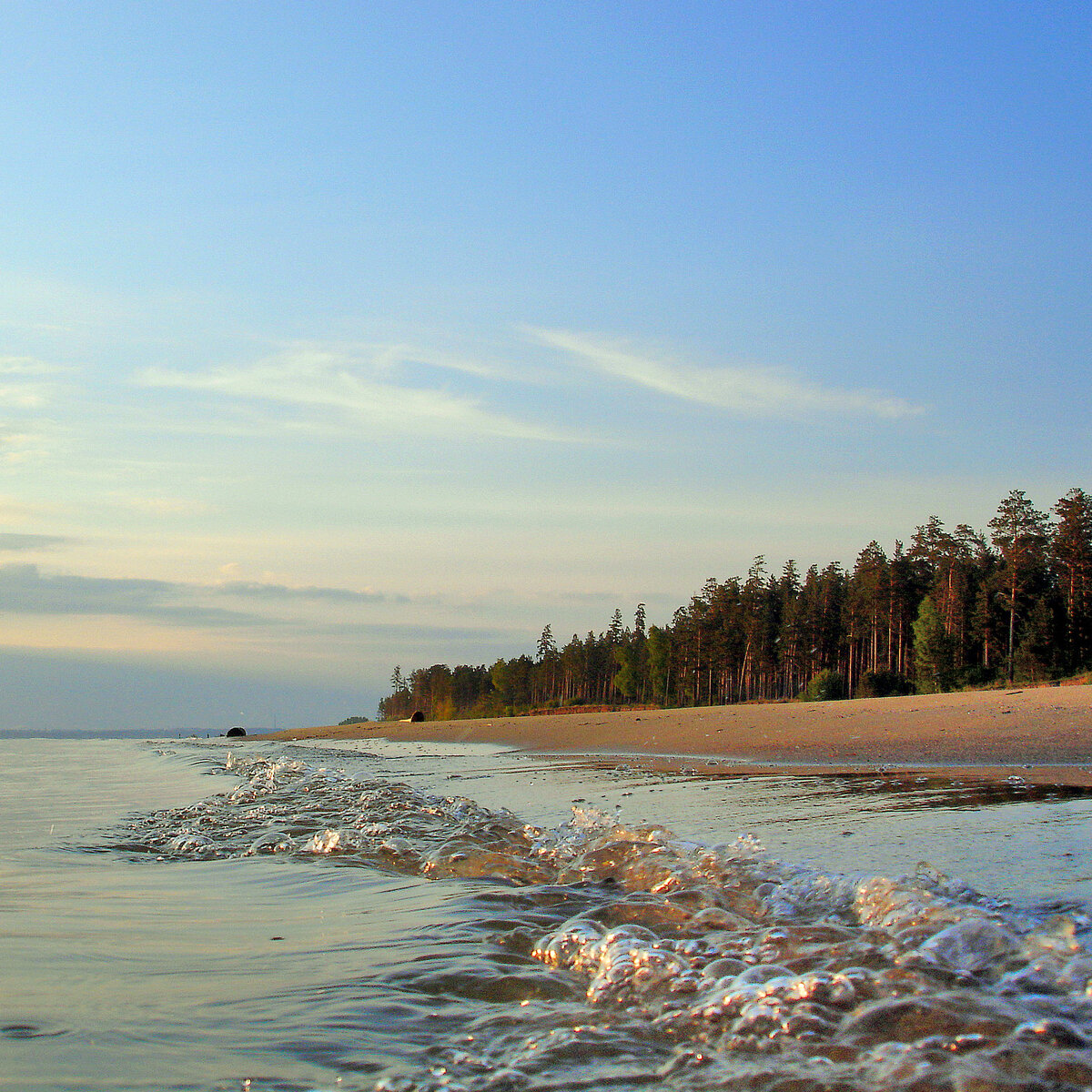 Бердск. Обмелевшее Обское море, побережье города Бердска. Новосибирская  область. 27 мая 2005 год. | Бердск- мой город. Евгений Мухортов | Дзен