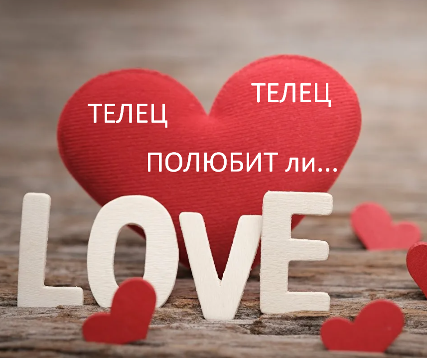 Фото из открытого источника