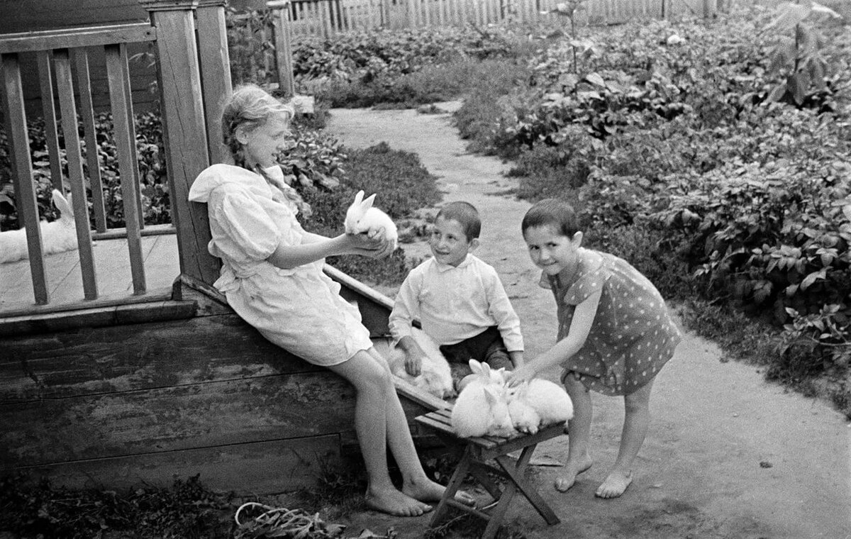 Изображение взято с открытых источников