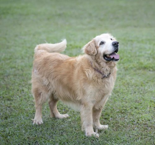 Дегенеративные изменения позвоночника