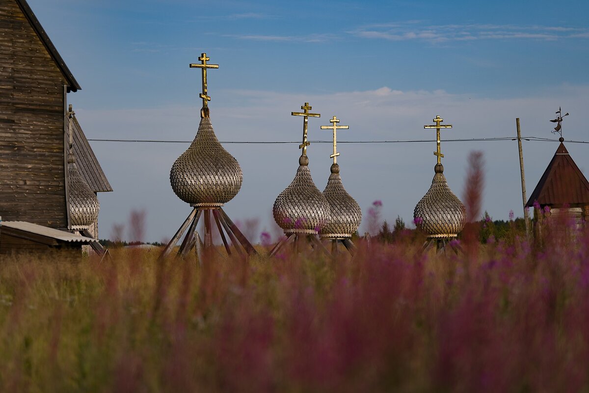 Фото: Artem Lepesin. https://commons.wikimedia.org/w/index.php?curid=108751534