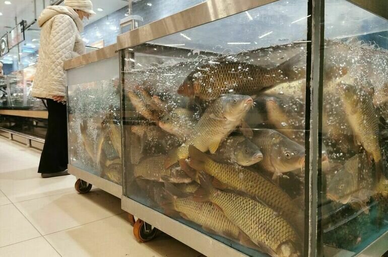   Игорь Самохвалов/ПГ