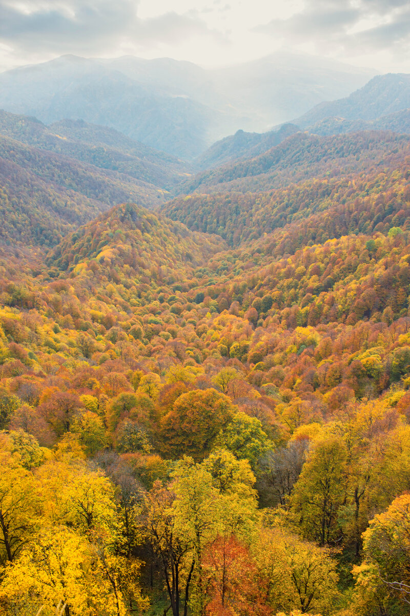 Река Сибирь - левый приток реки Белой 