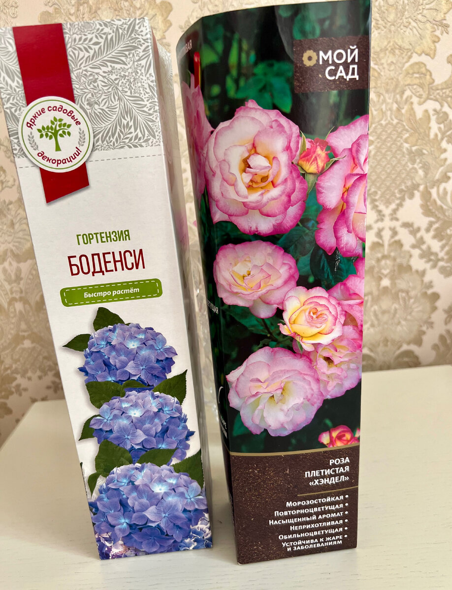 Фото автора.