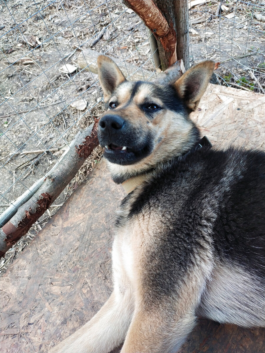 Кусь - Кусь! Я дома!