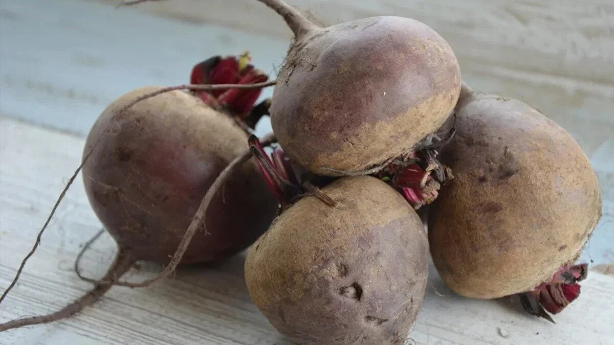 Салат со свёклой и селёдкой