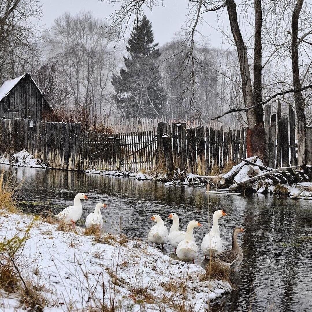 деревенские мотивы фото