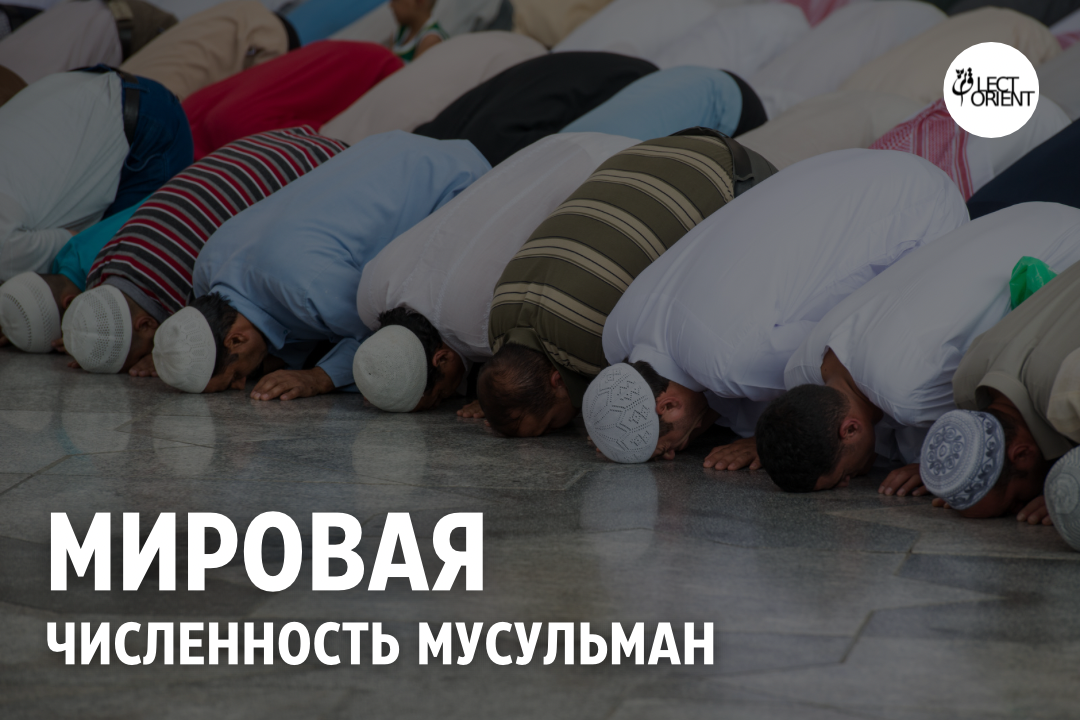 Фото взято из открытого фотостока Canva