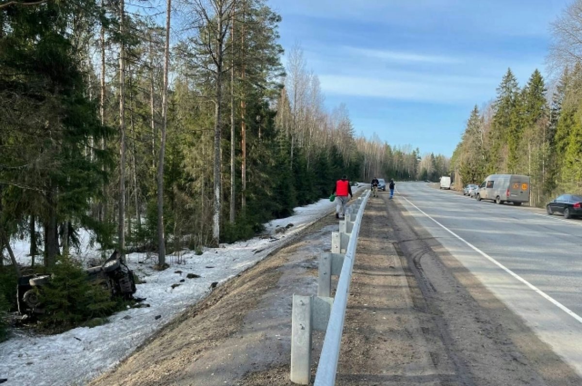    Трое детей из Петербурга пострадали в ДТП на трассе «Скандинавия»