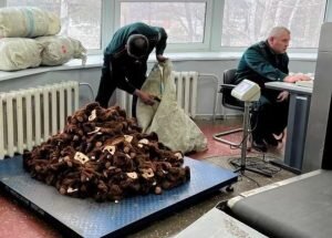    Фото: пресс-служба ФТС Гульназ Астахова