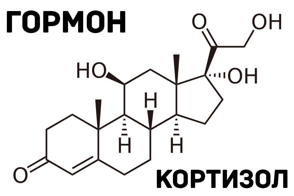 Фото:https://aikidzin.ru/