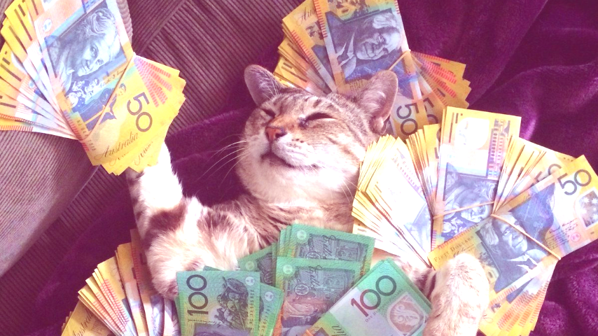 Кот, который вёл домашнюю бухгалтерию