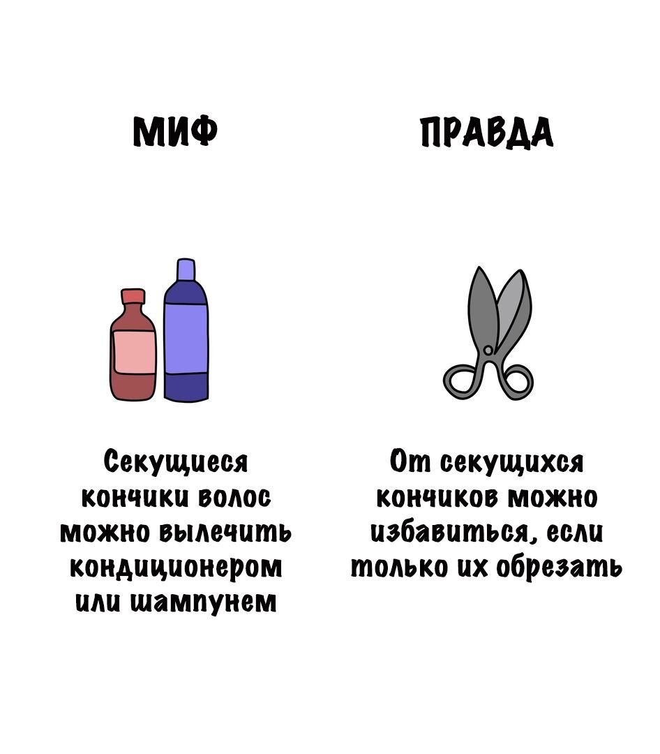 Миф
Секущиеся кончики ВОЛОС Можно вылечить кондиционером или шампунем

Правда
От секущихся кончиков МОЖНО избавиться, если Только их обрезать