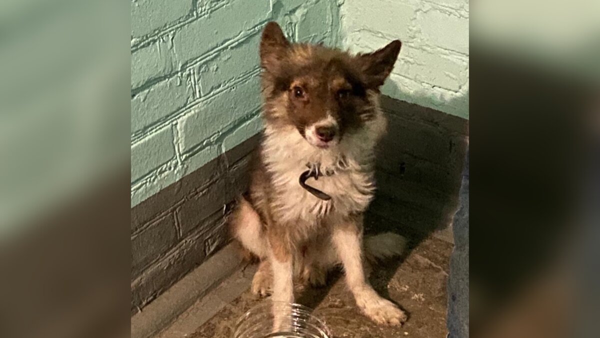 Девочки принесли им воды. Какое счастье было напиться 