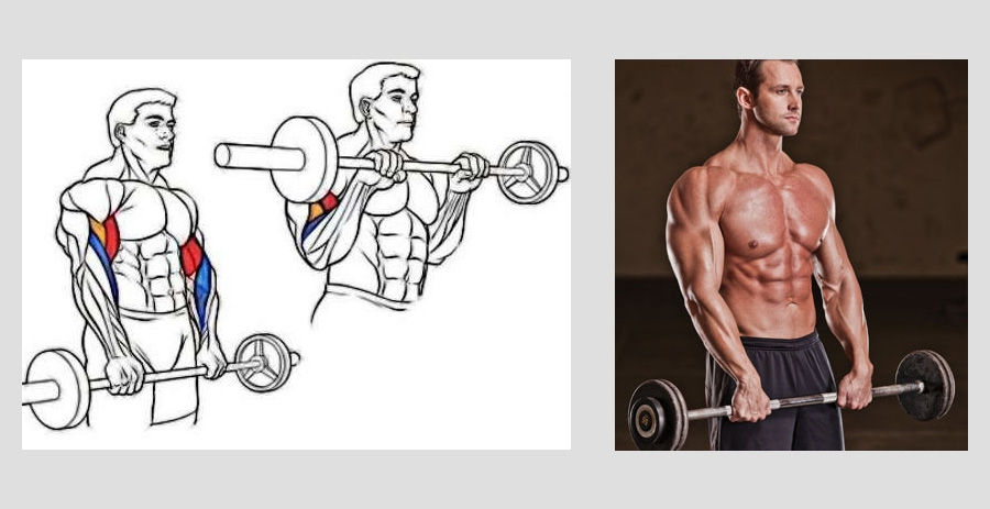 Подъем прямой штанги на бицепс стоя. Подъем штанги на бицепс стоя обратным хватом. Бицепс обратным хватом со штангой. Подъем штанги на бицепс стоя обратным хватом. Штанга на бицепс.