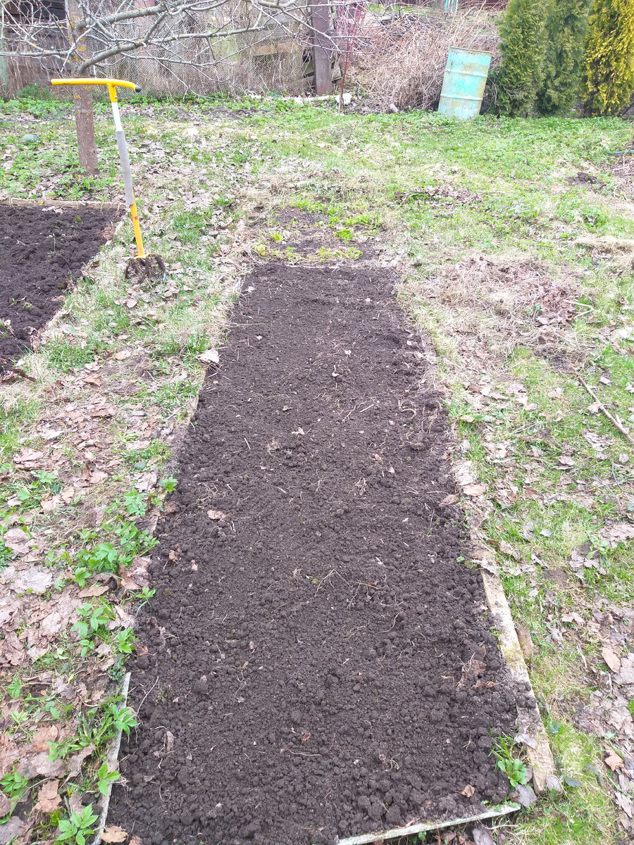 Первая готовая грядка))