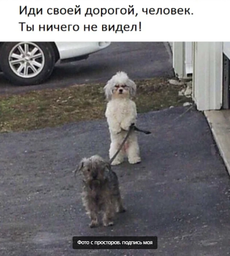 Добавьте описание