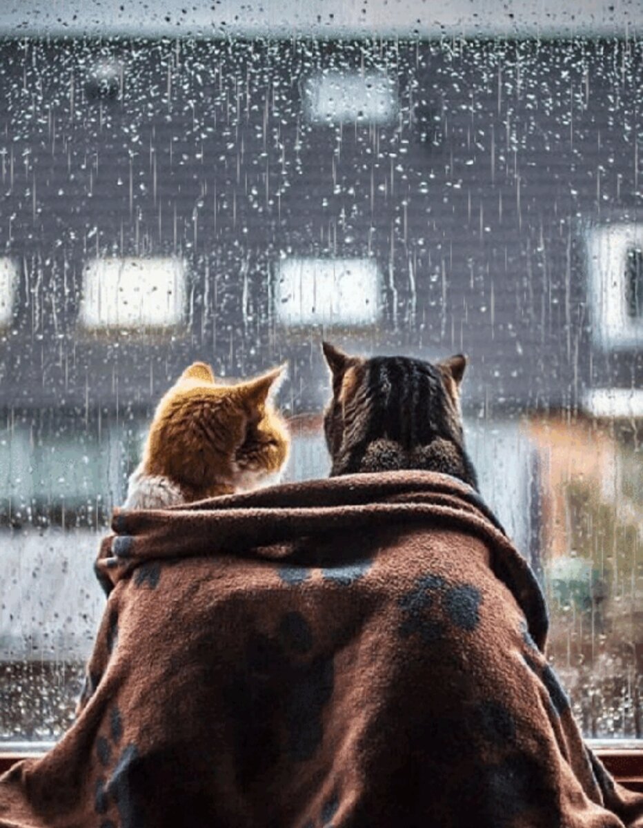 Из интернета